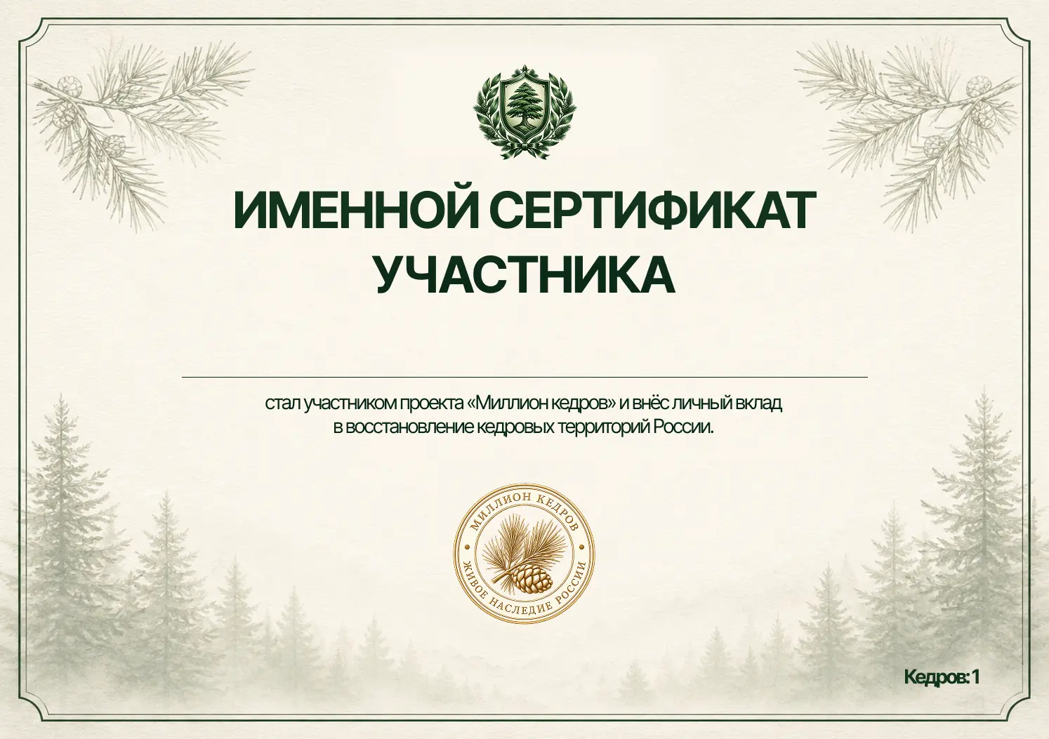 Сертификат участника проекта